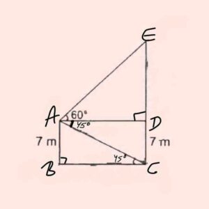 Application of Trignometry class 10 