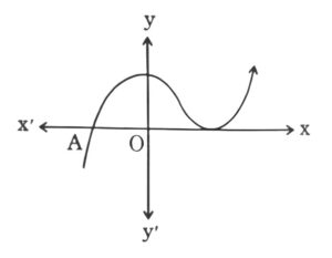 polynomial